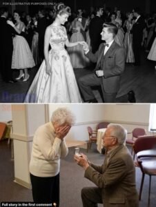At 80, I Found My First Love Again — And Discovered a Secret She Had Hidden for 60 Years