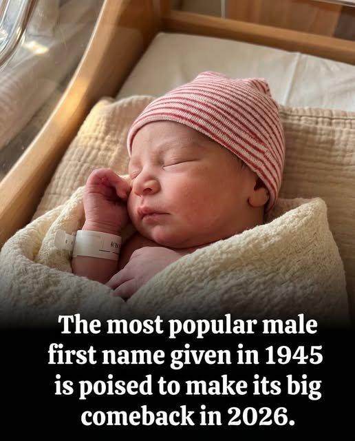 A Forgotten Classic Is Set to Charm a New Generation of Parents in 2026
